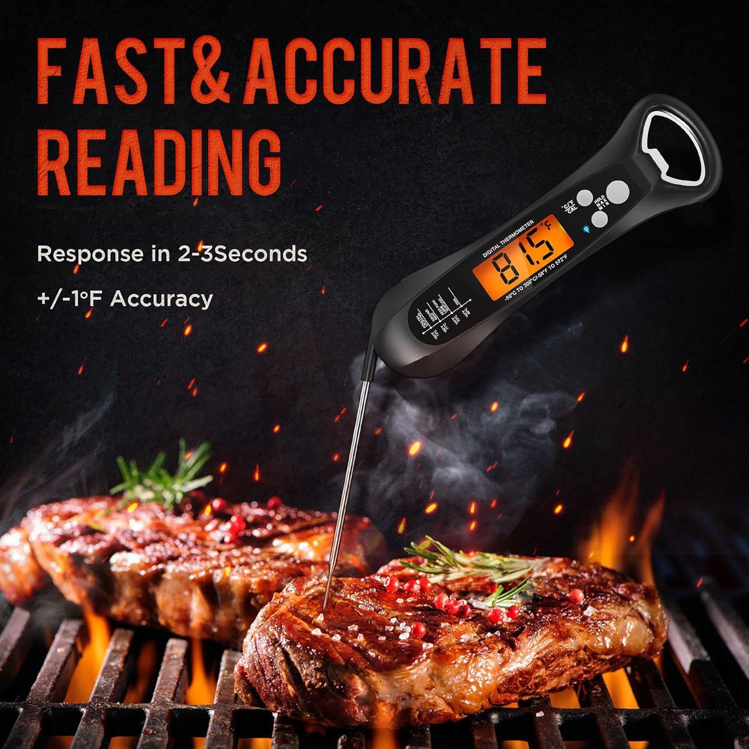 Digital Food Thermometer