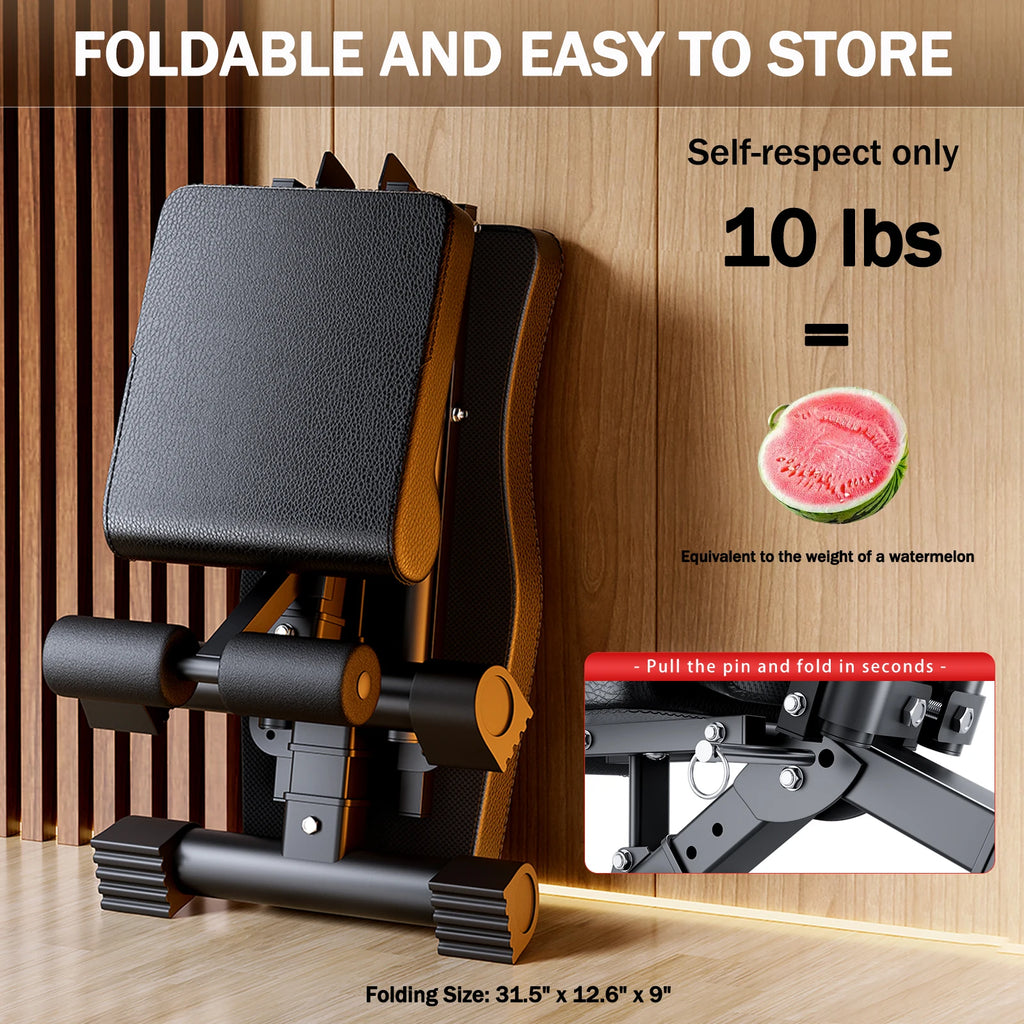 Weight Bench for Full Body